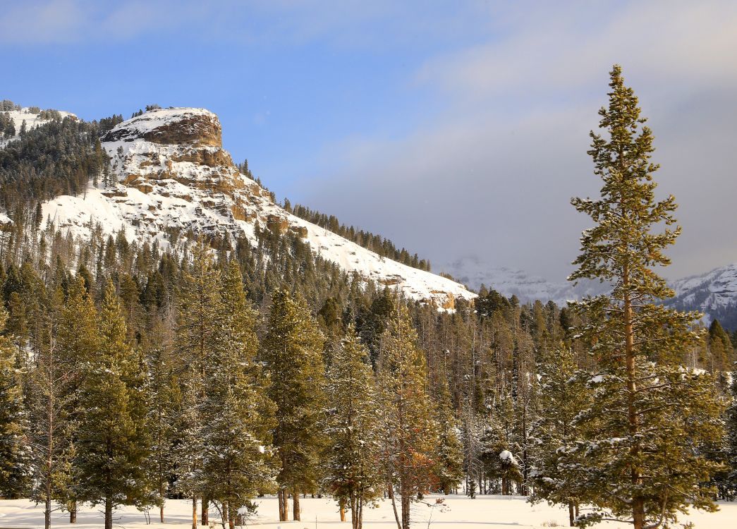 Pebble Creek Campground